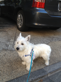 image-20121226231839.png